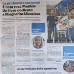 eventi solidali di Barbara Pratesi
